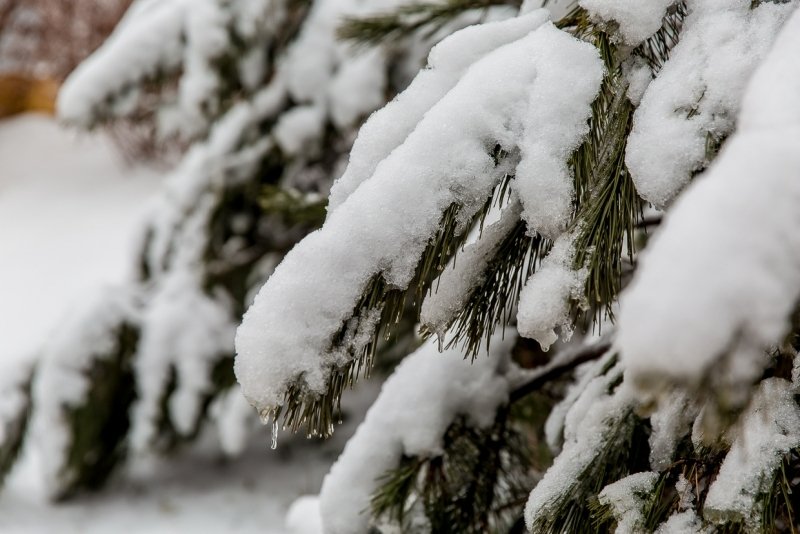 На горные курорты Сочи надвигается циклон с аномальными снегопадами Александр Ратников
