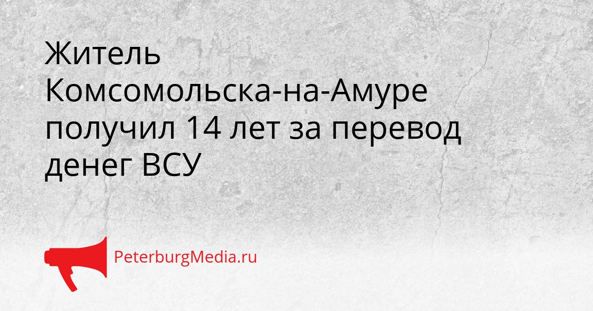Житель Комсомольска-на-Амуре получил 14 лет за перевод денег ВСУ Сгенерировано