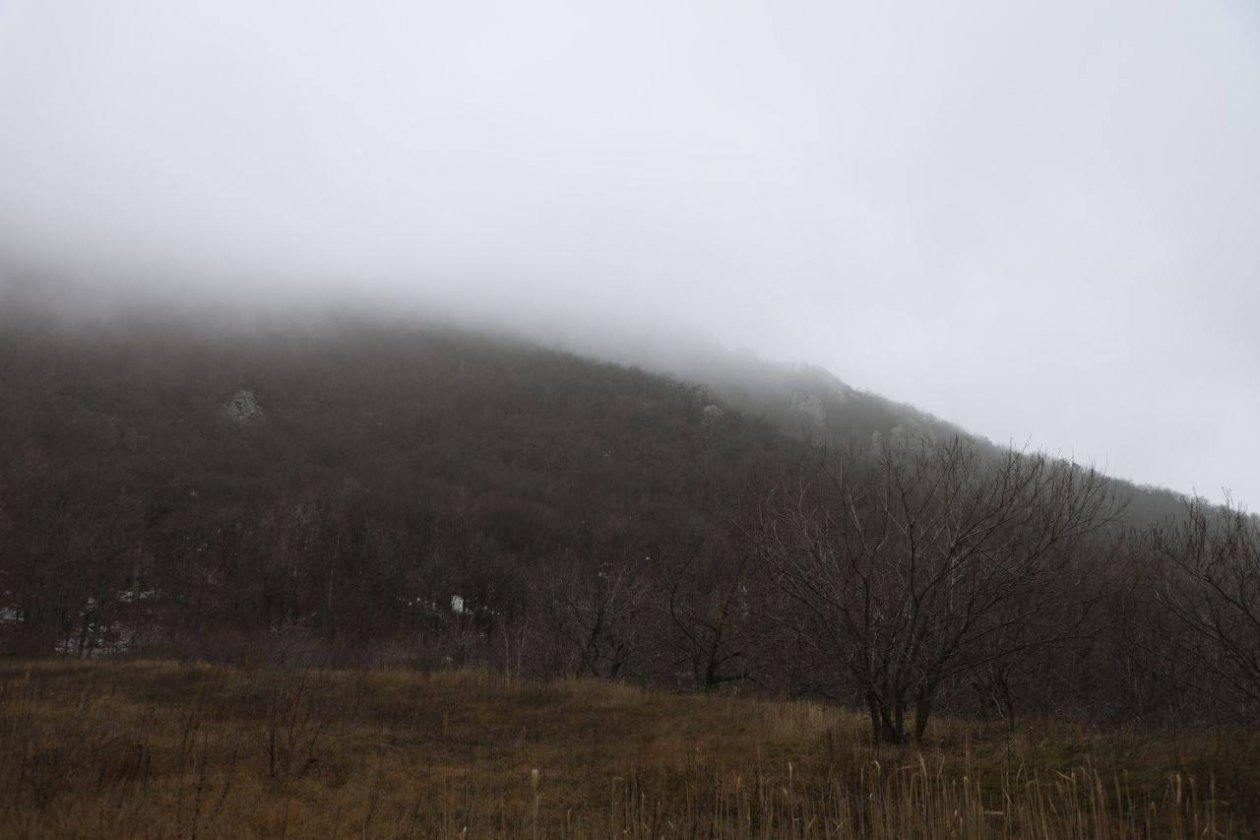 Telegram-канал (18+) Владимира Владимирова