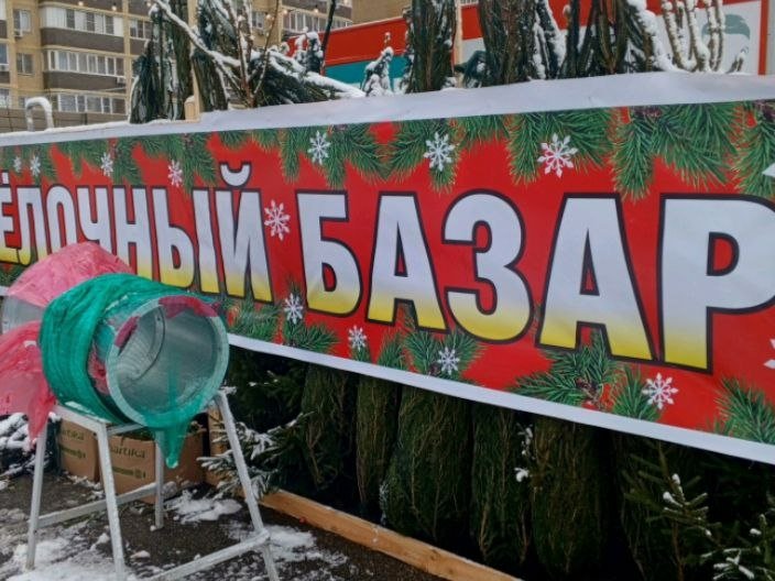 Каждый восьмой краснодарец имитирует новогоднее настроение для близких Ирина Ленская