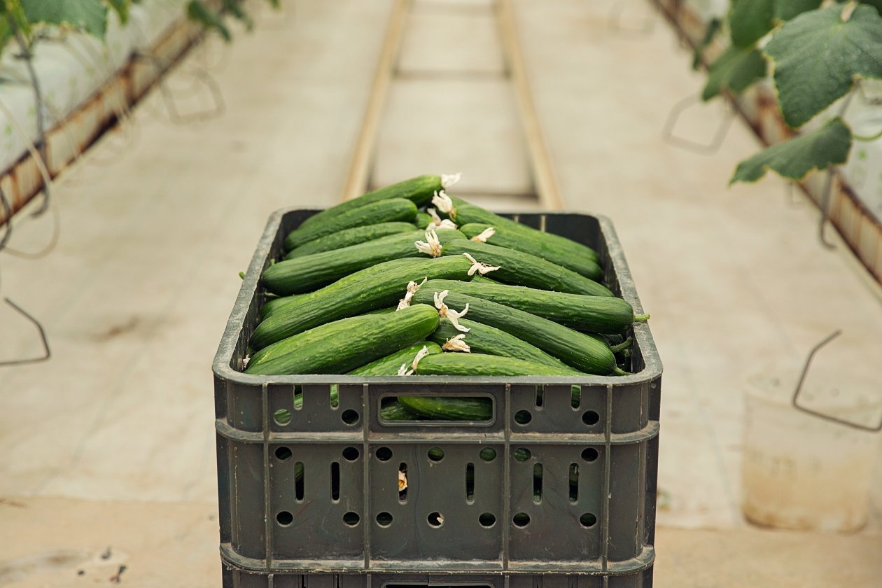 Тематическое фото freepik.com