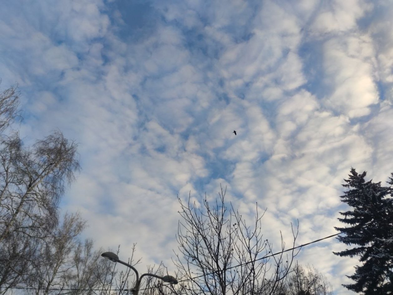 Отбой беспилотной опасности объявили на территории Ставропольского края ИА Stavropol.Media