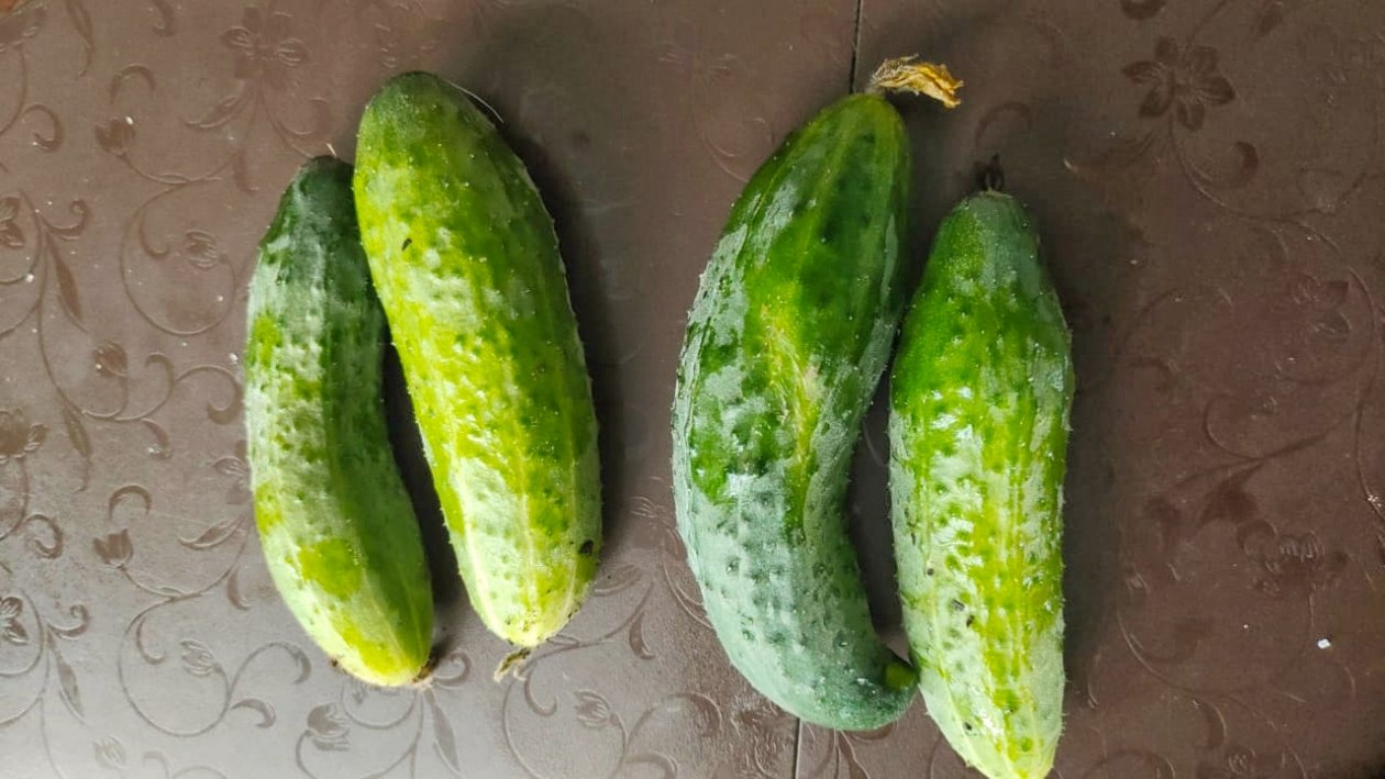 Огурцы Автора