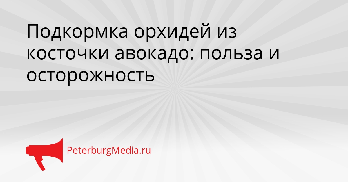 Подкормка орхидей из косточки авокадо: польза и осторожность Сгенерировано