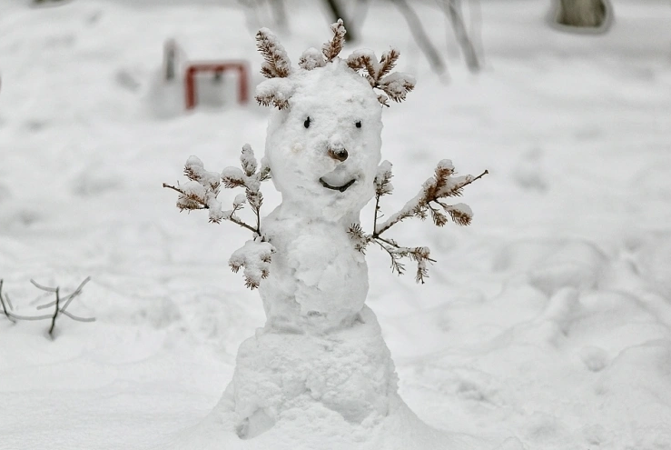 Здравствуй, Новый Год! ИА KamchatkaMedia