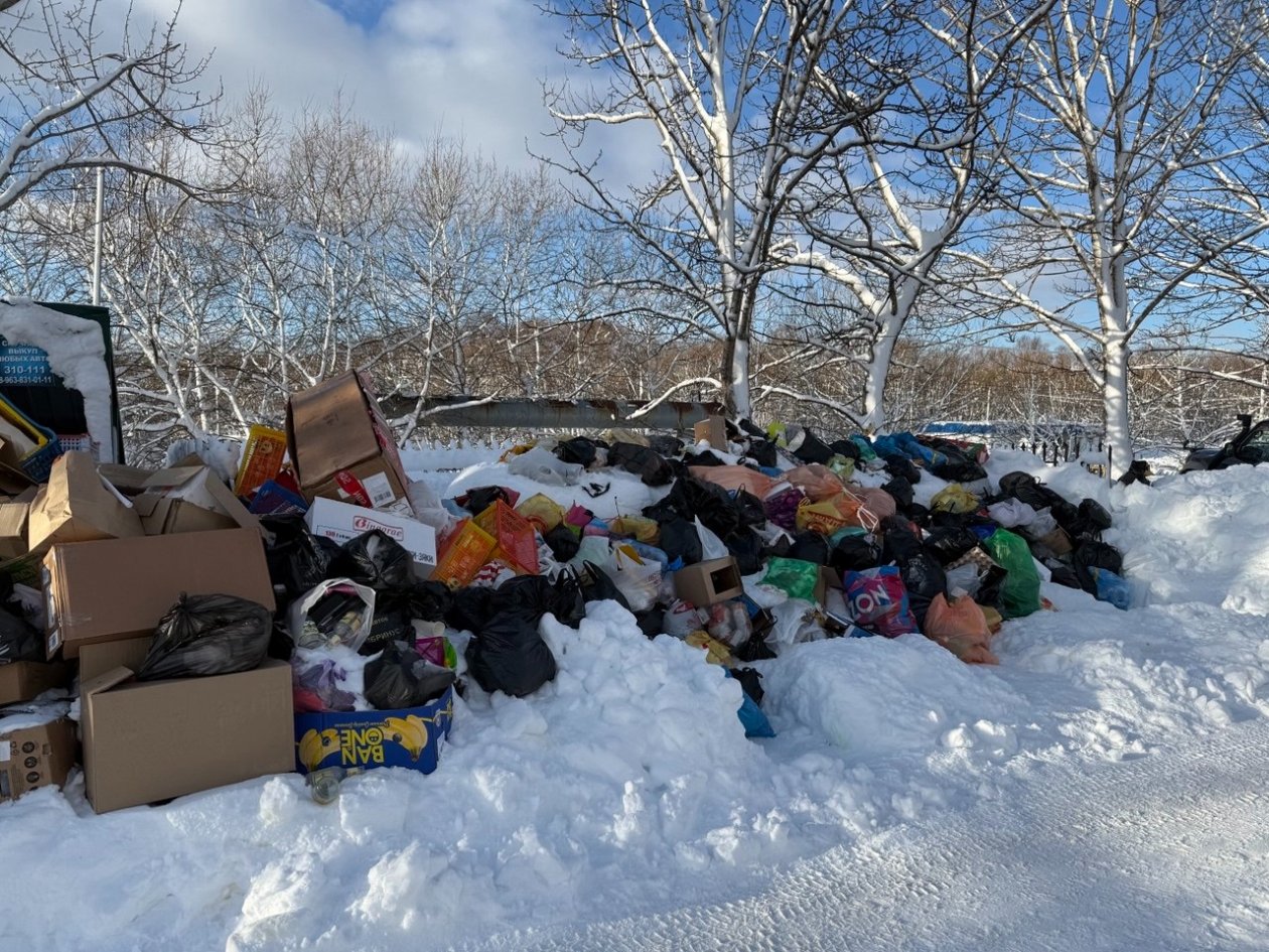 Мусорная площадка в Петропавловске-Камчатском, декабрь 2025 ИА KamchatkaMedia