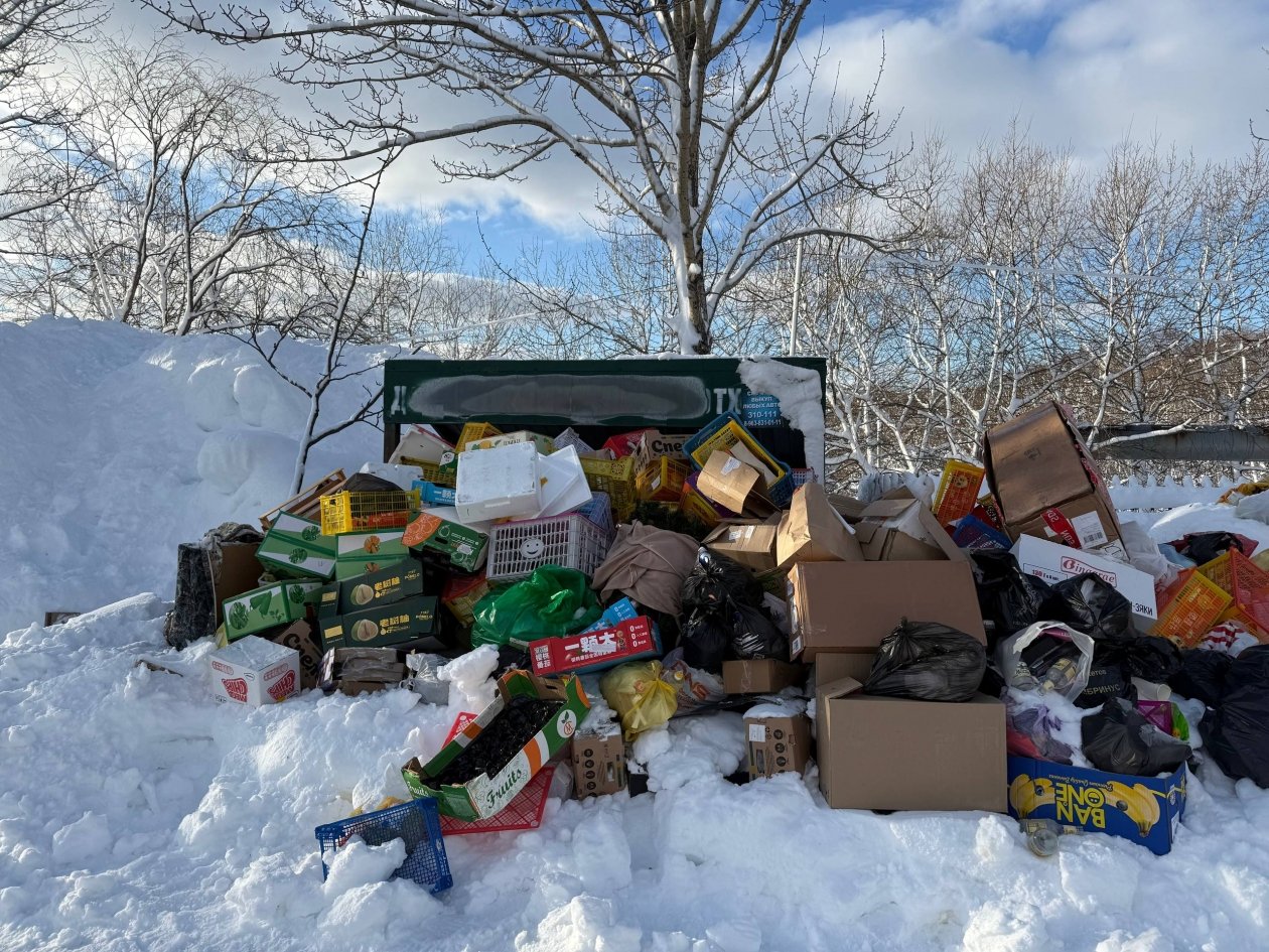 Мусорная площадка ИА KamchatkaMedia