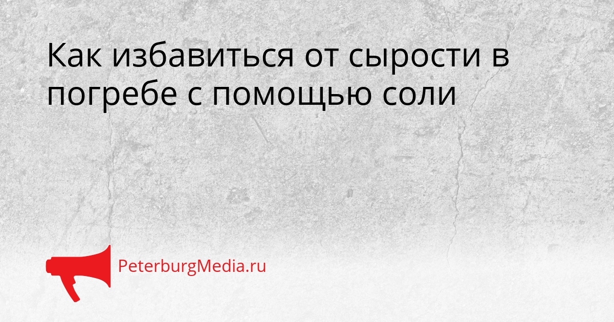 Как избавиться от сырости в погребе с помощью соли Сгенерировано