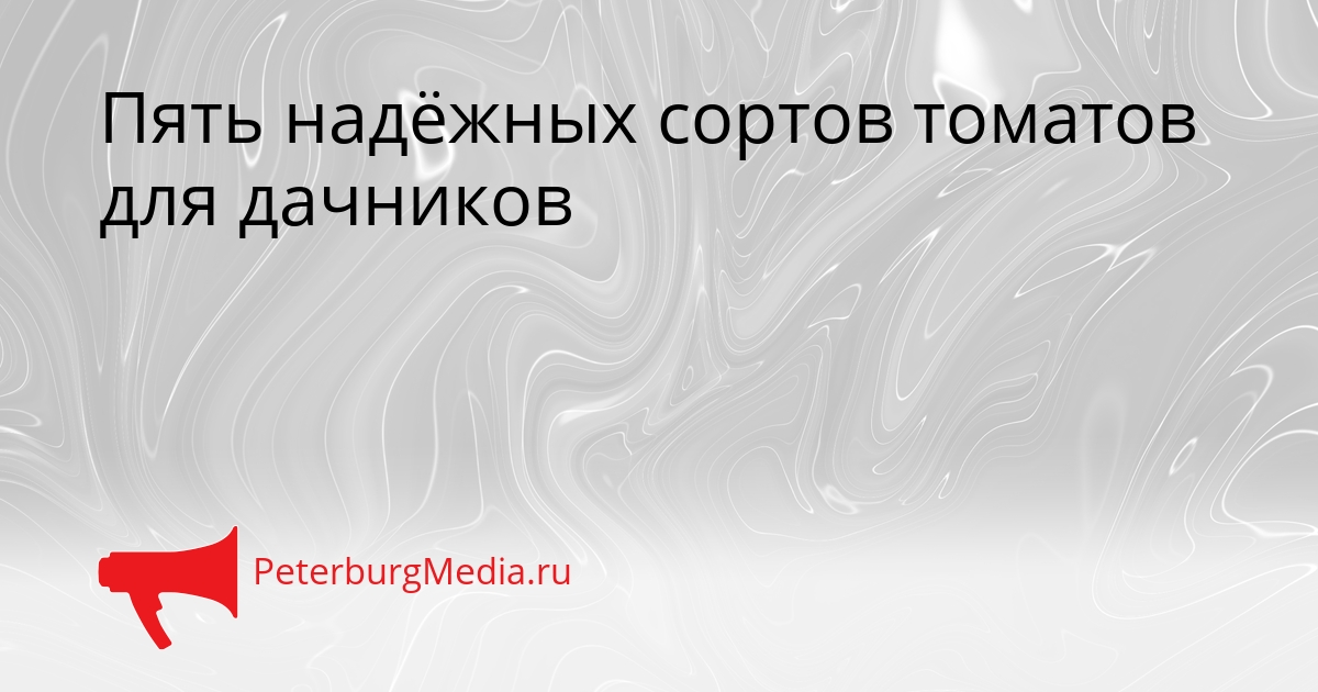 Пять надёжных сортов томатов для дачников Сгенерировано