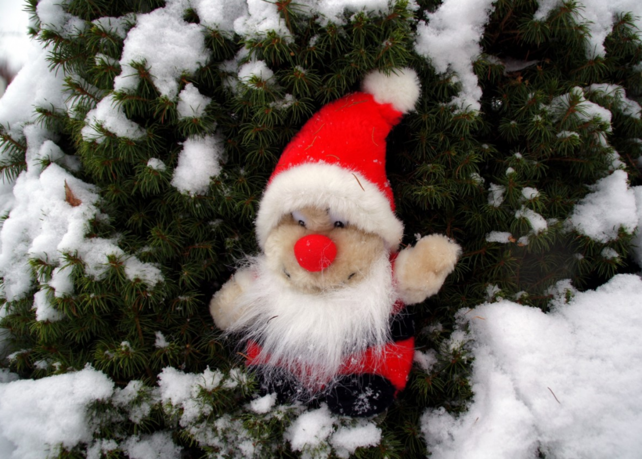 Тематическое фото Сайт pxhere.com