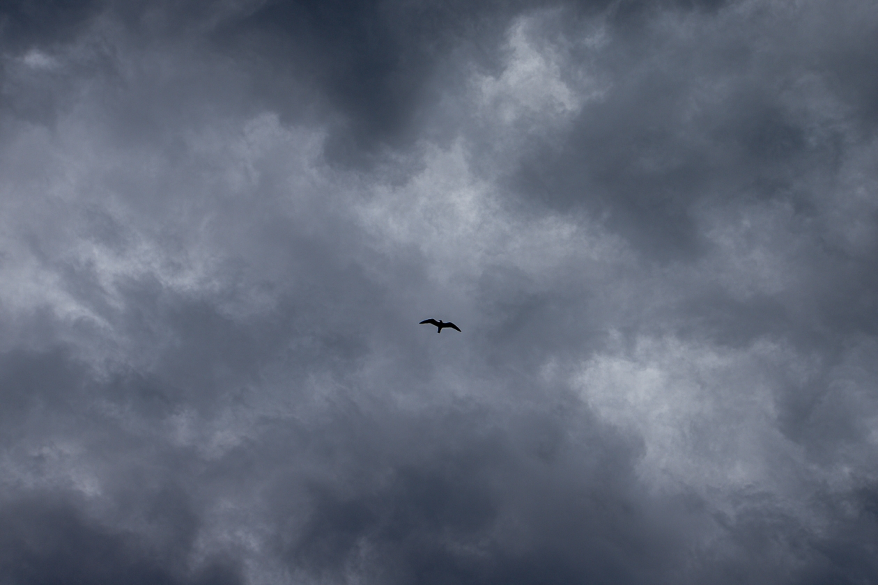 Над Краснодарским краем и Черным морем сбили 61 БПЛА Мария Смитюк