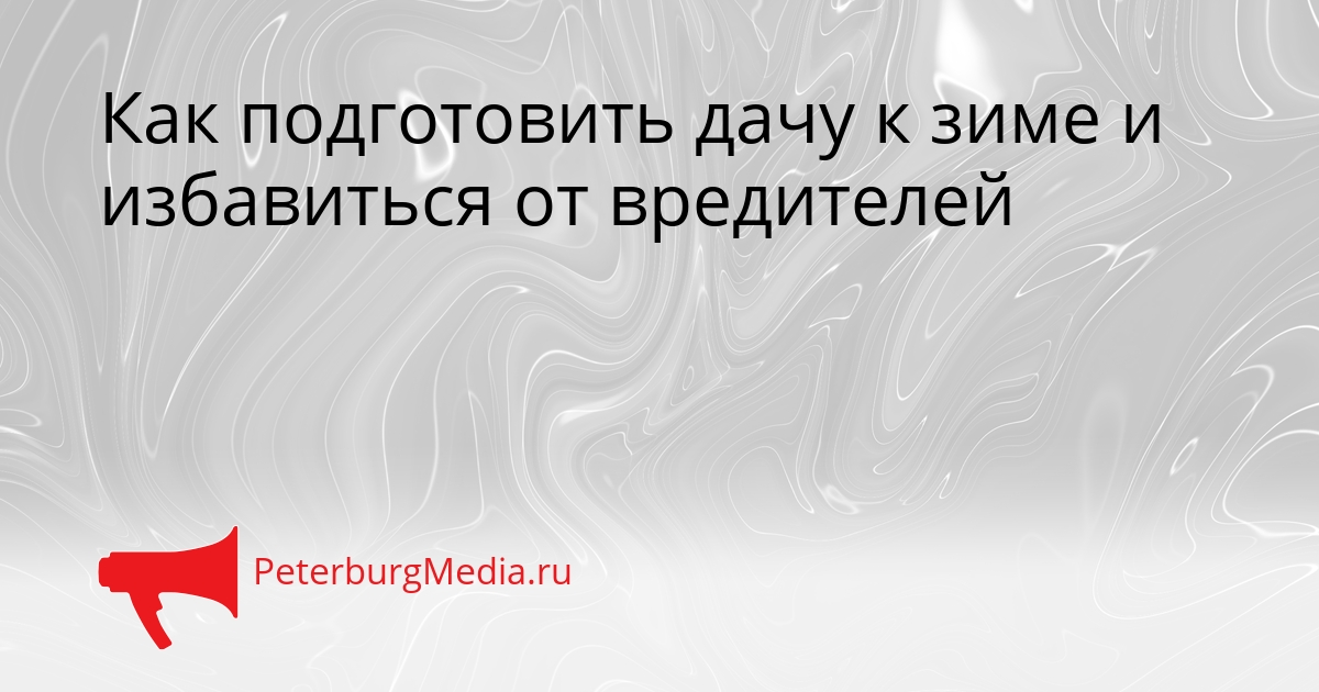 Как подготовить дачу к зиме и избавиться от вредителей Сгенерировано