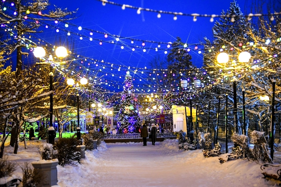 Тематическое фото Пресс-служба администрации Хабаровска