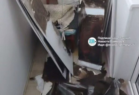 Тематическое фото t.me/novosti_primorye25