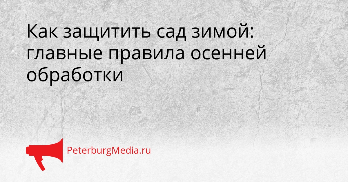 Как защитить сад зимой: главные правила осенней обработки Сгенерировано
