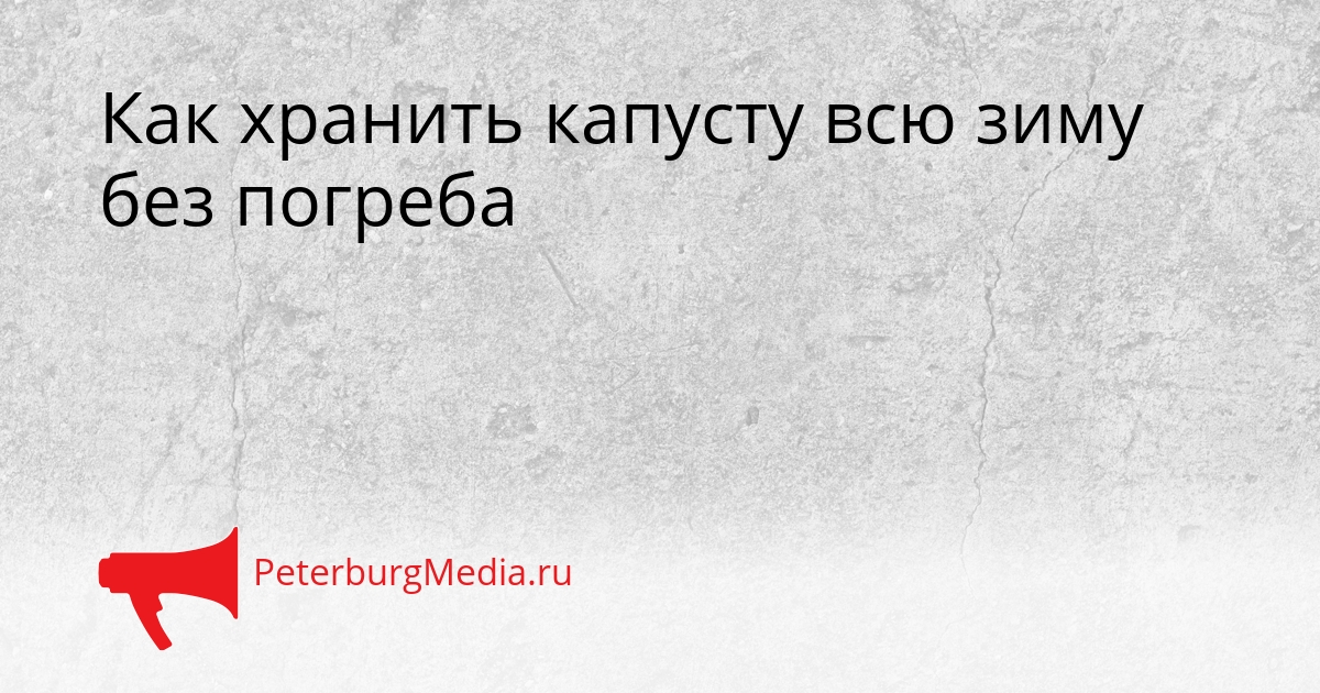 Как хранить капусту всю зиму без погреба Сгенерировано