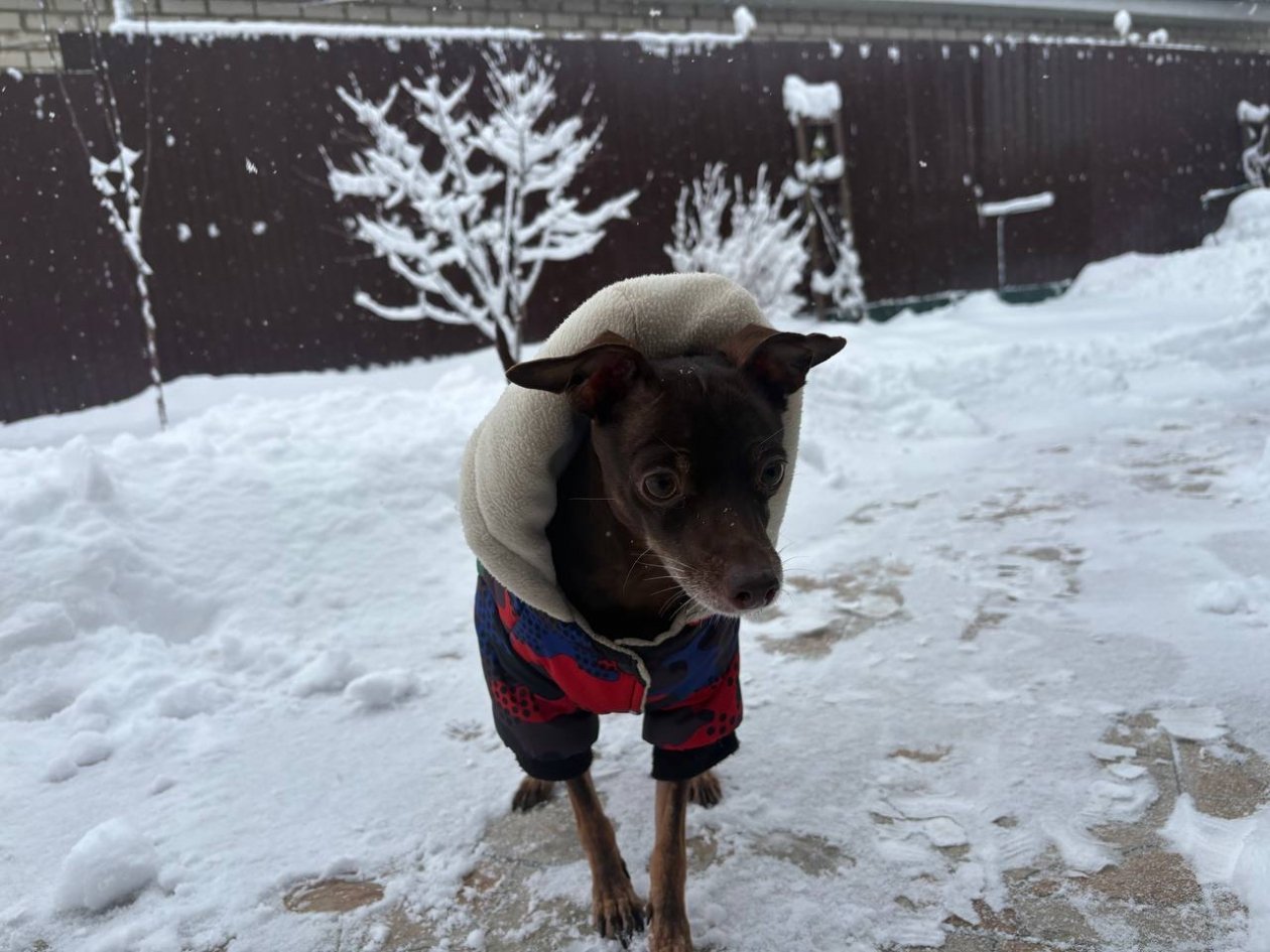 ИА Stavropol.Media