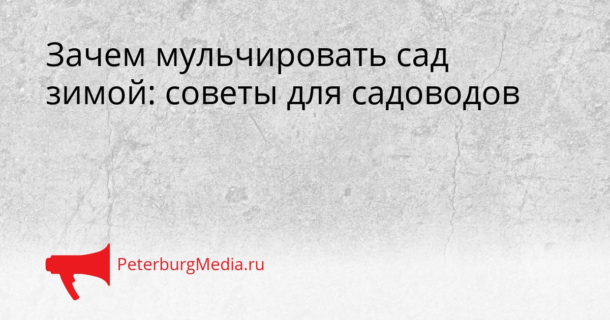 Зачем мульчировать сад зимой: советы для садоводов Сгенерировано