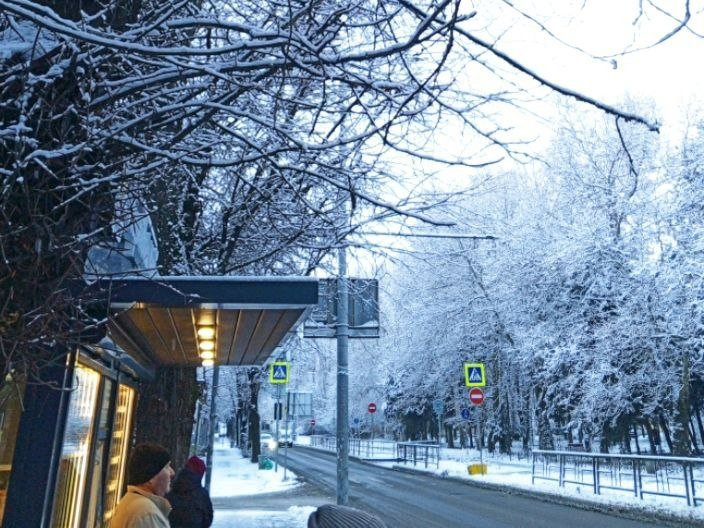 Антициклон принес в Краснодар самую морозную ночь этой зимы Ирина Ленская