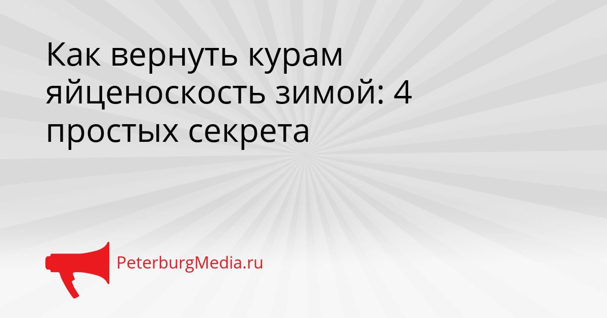 Как вернуть курам яйценоскость зимой: 4 простых секрета Сгенерировано