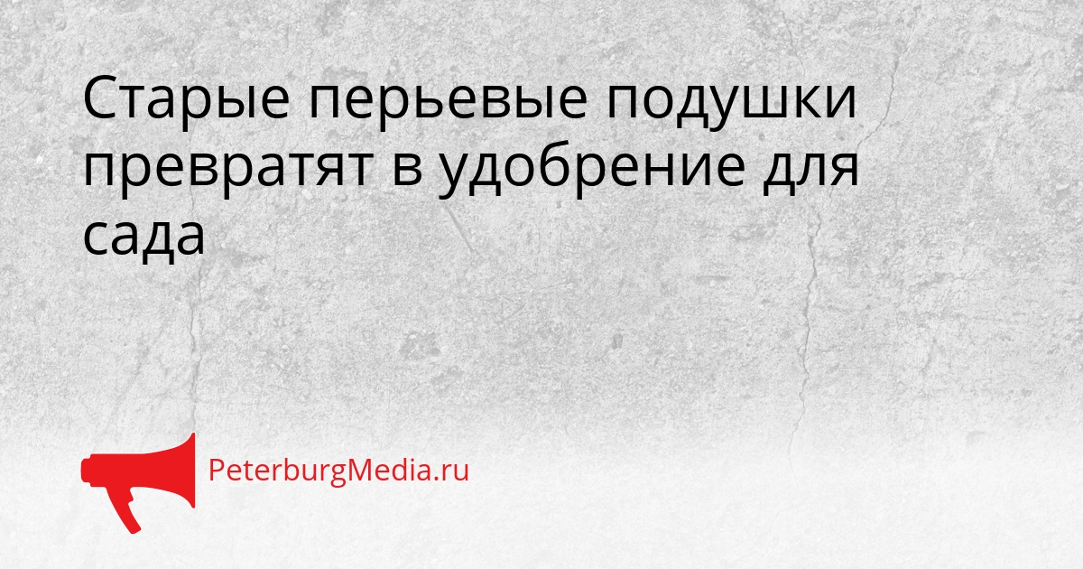 Старые перьевые подушки превратят в удобрение для сада Сгенерировано