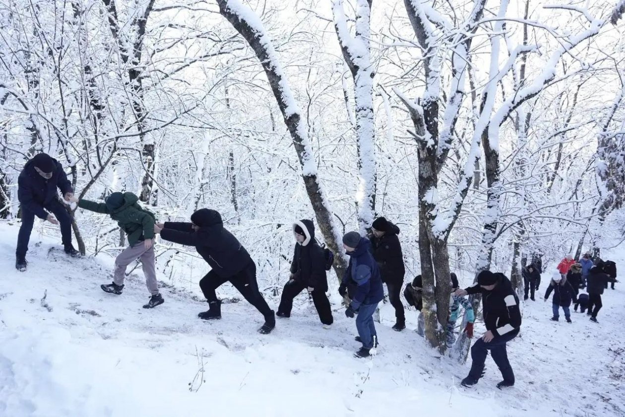 Соцсети Д.Ворошилова