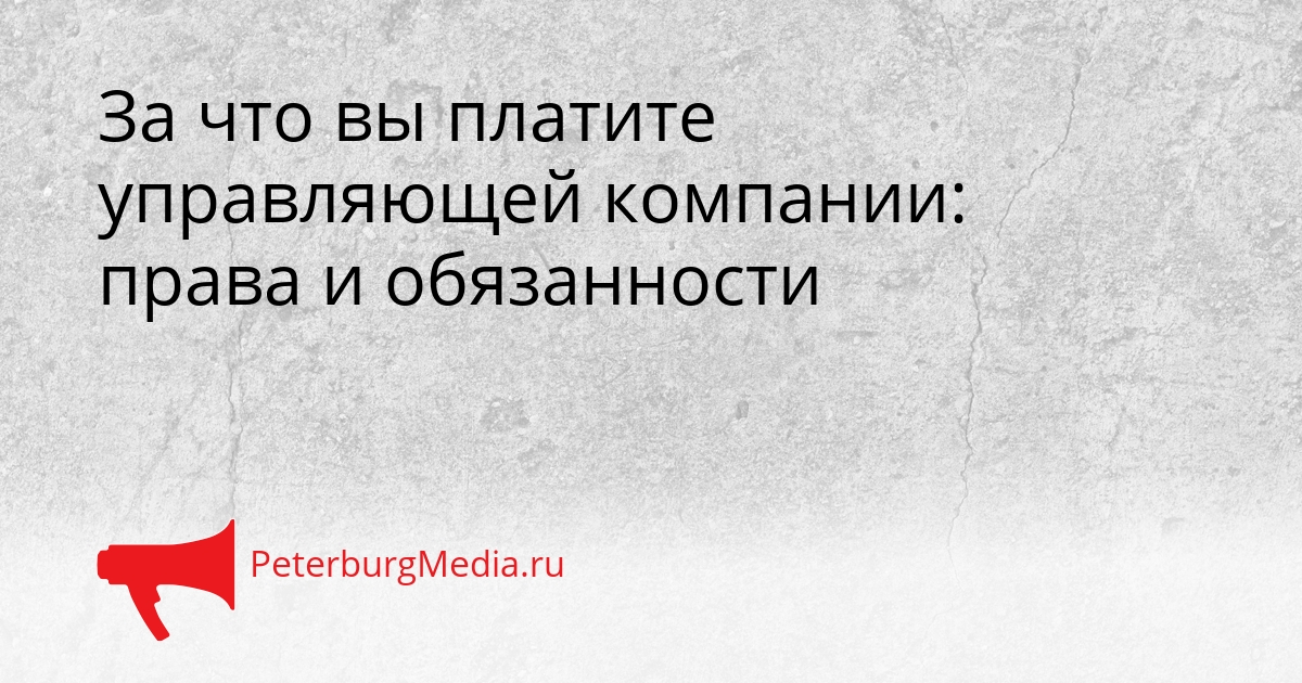 За что вы платите управляющей компании: права и обязанности Сгенерировано