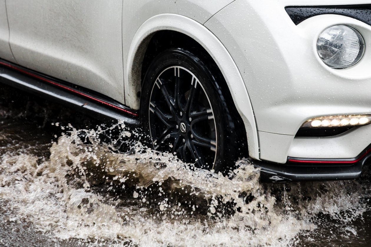 В Краснодарском крае ожидаются январские грозы и ливни Евгений Кулешов