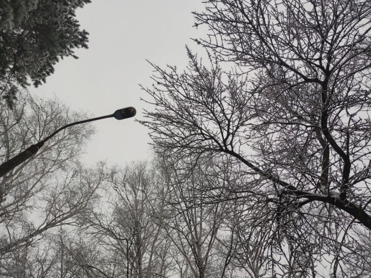 Беспилотную опасность объявили на Ставрополье ИА Stavropol.Media