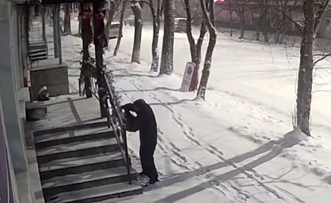 Момент кражи скриншот