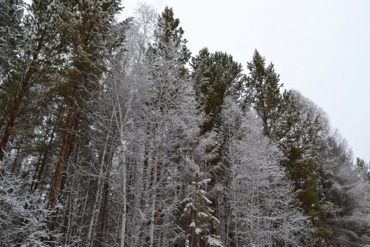 Анастасия Вострецова, корр. ИА AngarskMedia