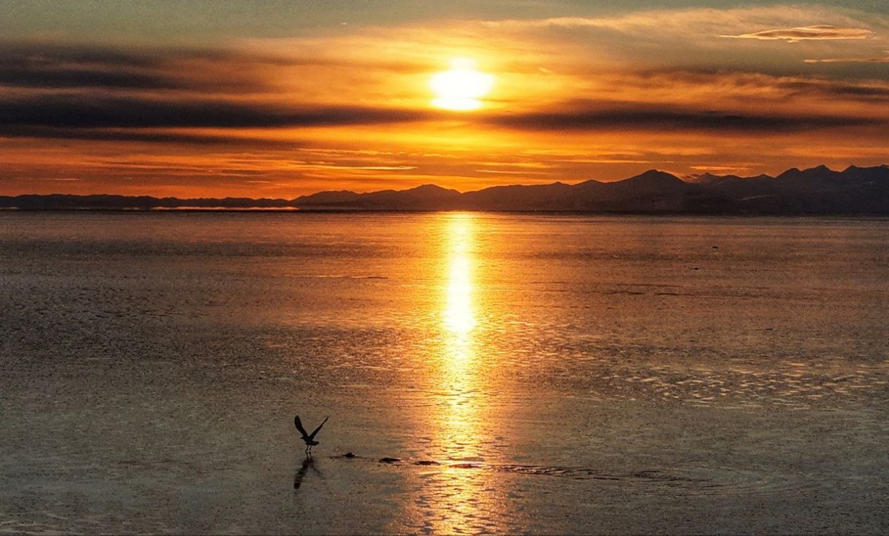 Тематическое фото Юлия Егорова