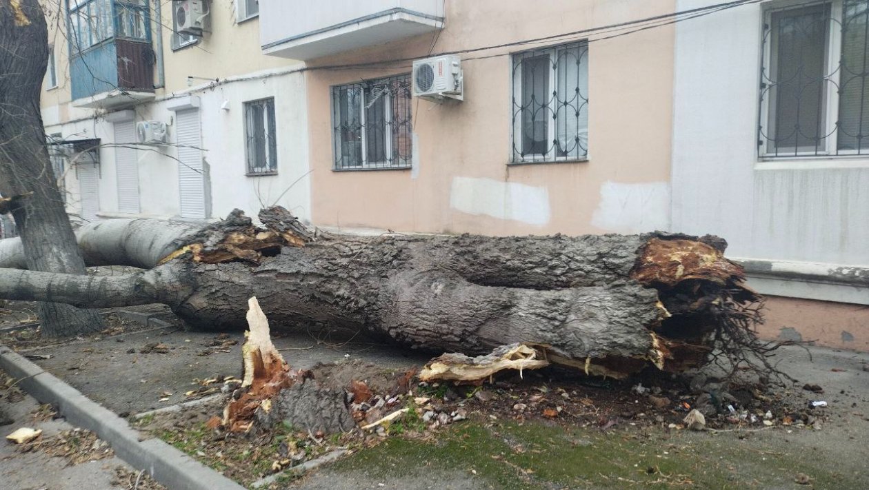 В округе разгулялась непогода Администрация Феодосии