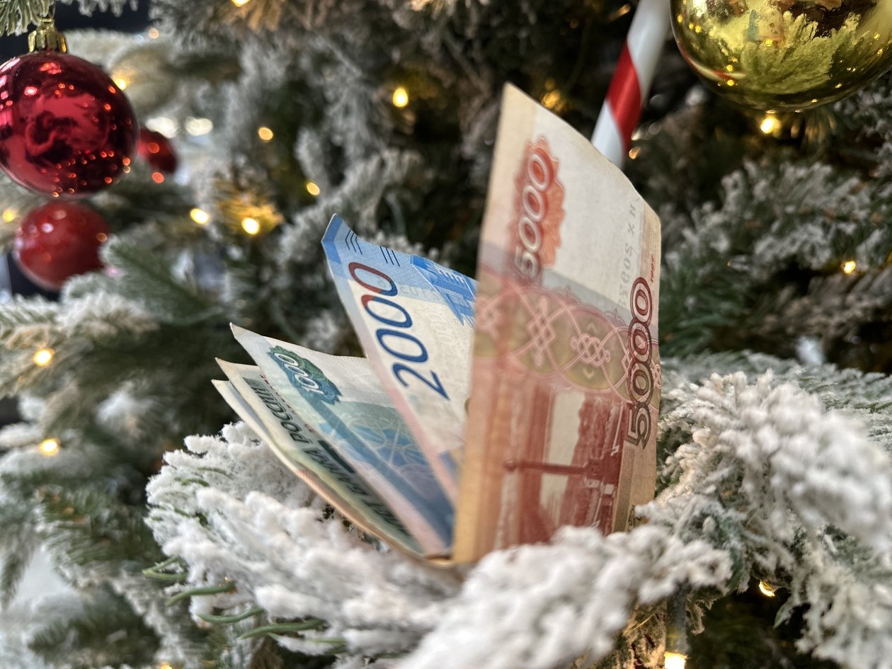 Деньги Новый год Валерия Панфилова, ИА OmskMedia