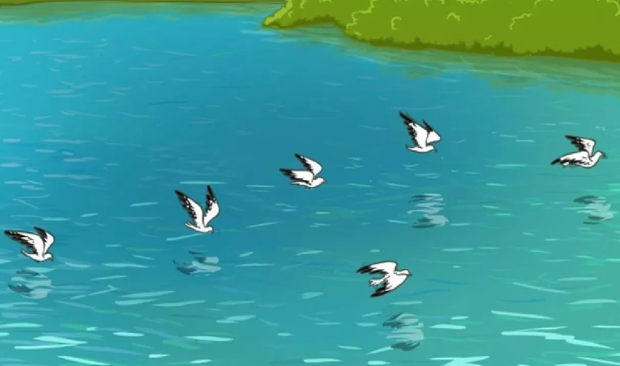 Тематическое фото Bright side