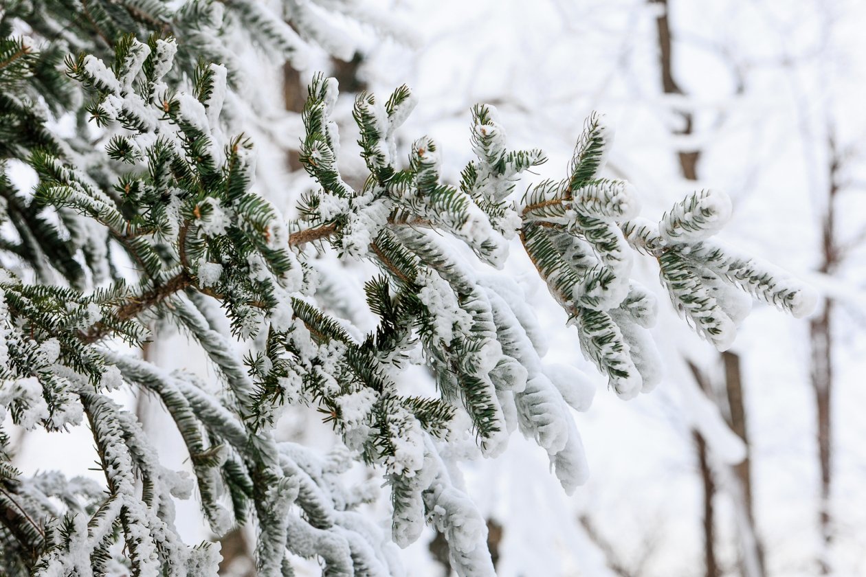 Мороз не собирается отступать в Якутске на следующей неделе Евгений  Кулешов, ИА PrimaMedia