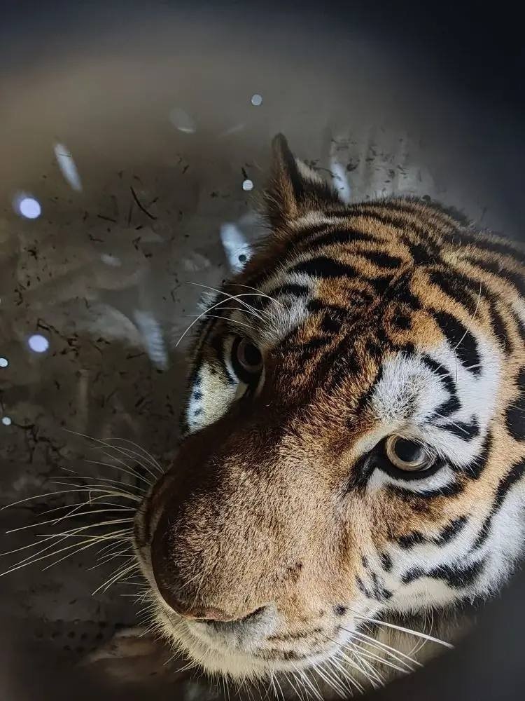 Тематическое фото ИА PrimaMedia