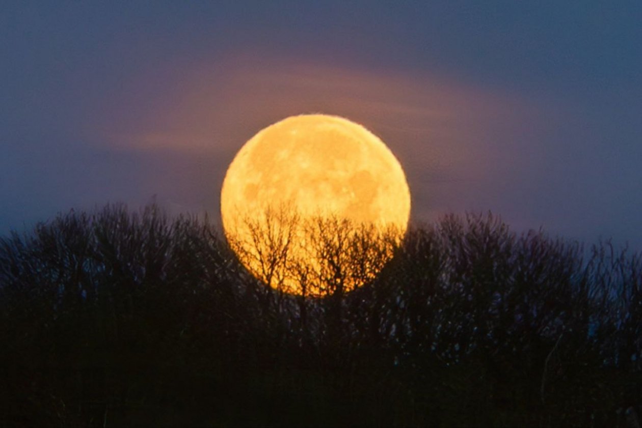 Волчья Луна Е. Брежицкая