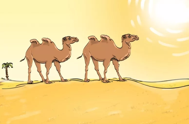 Тематическое фото Bright side