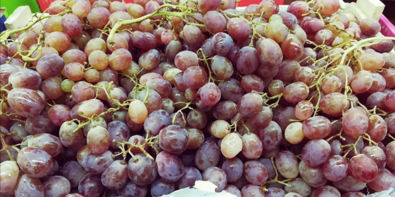 Вырастила сладкий виноград - дает гроздья по 2 кг через 90 дней: не требует танцев с бубном Марина  Померанцева , ИА EAOMedia