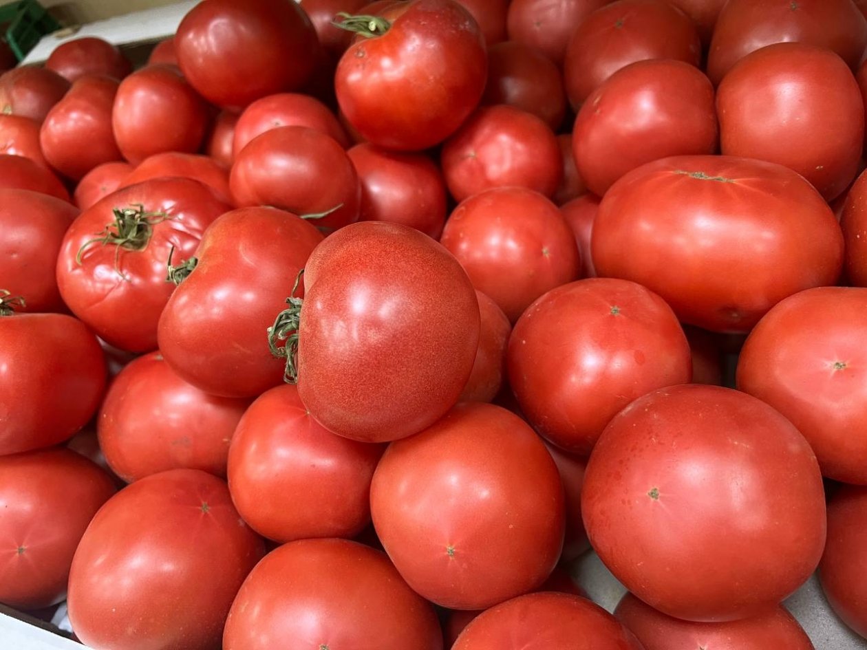 Выбираю этот сорт из сотен других: получаю 12 кг сочных помидоров - невероятно медовый вкус мякоти ИА Stavropol.Media