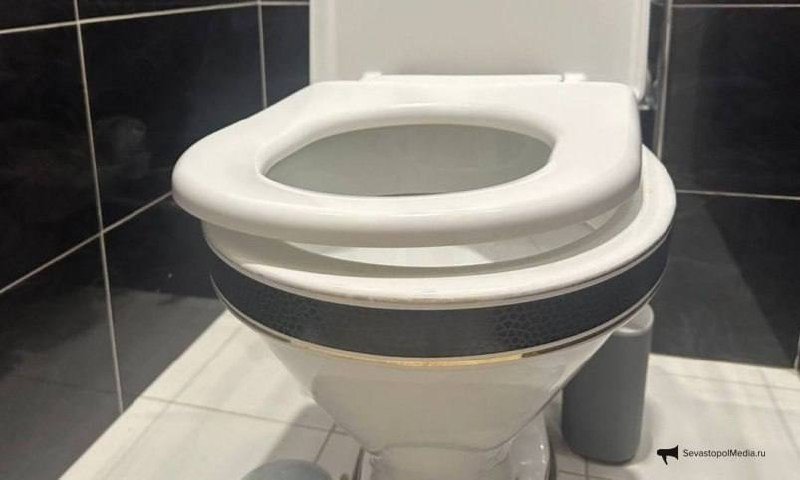 Заливаю 1 пузырек в унитаз — и он белее снега без усилий: только неопытные хозяйки тратят часы на чистку ИА SevastopolMedia