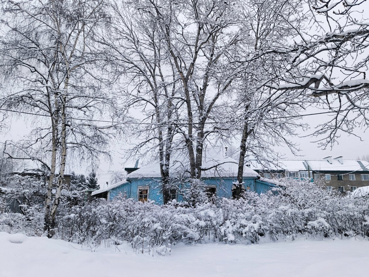 Поселок Мильково Елена Поддубная, ИА KamchatkaMedia