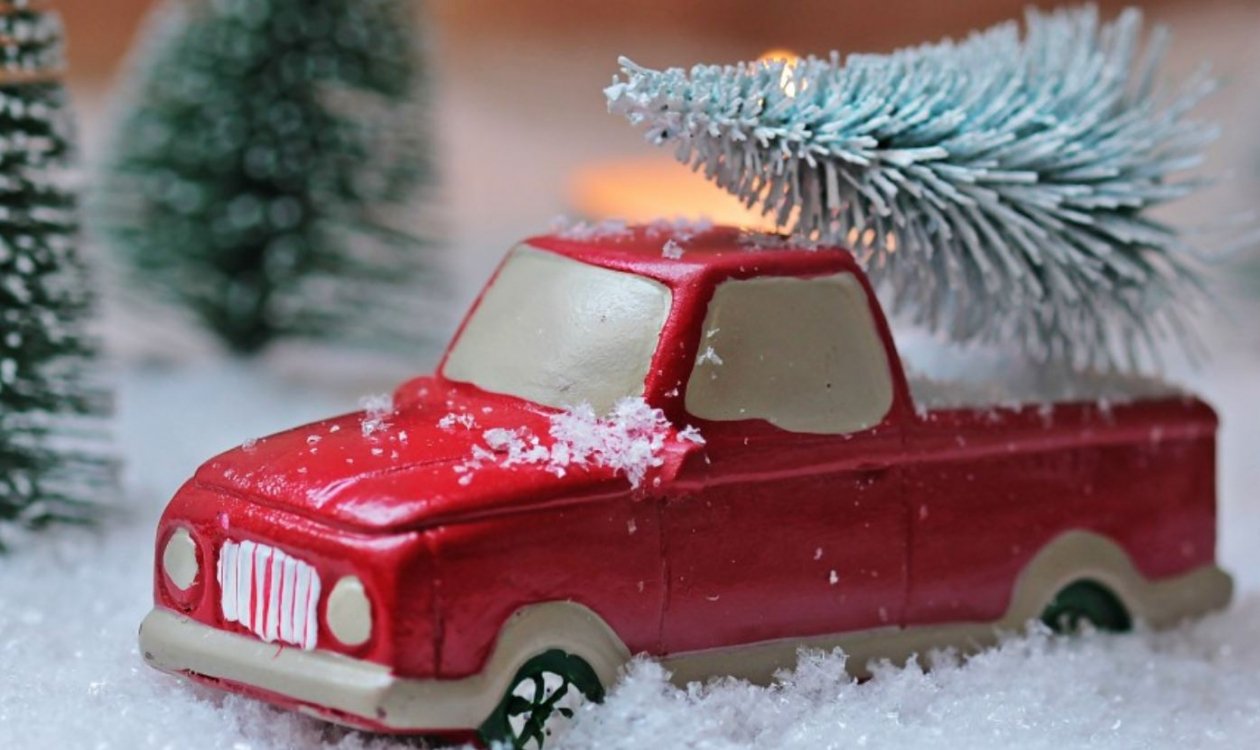 Тематическое фото pxhere.com