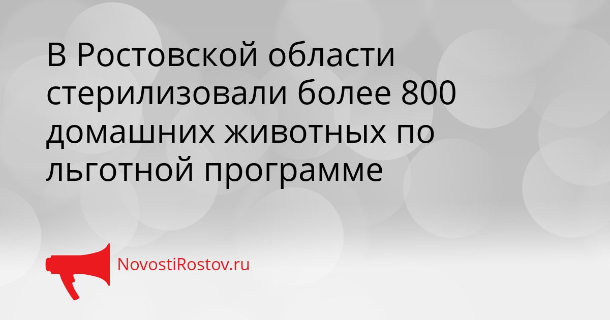 В Ростовской области стерилизовали более 800 домашних животных по льготной программе Сгенерировано