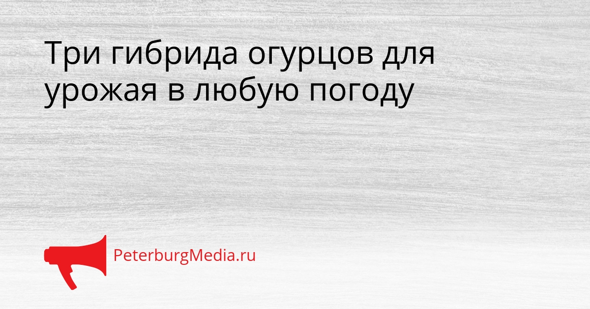 Три гибрида огурцов для урожая в любую погоду Сгенерировано