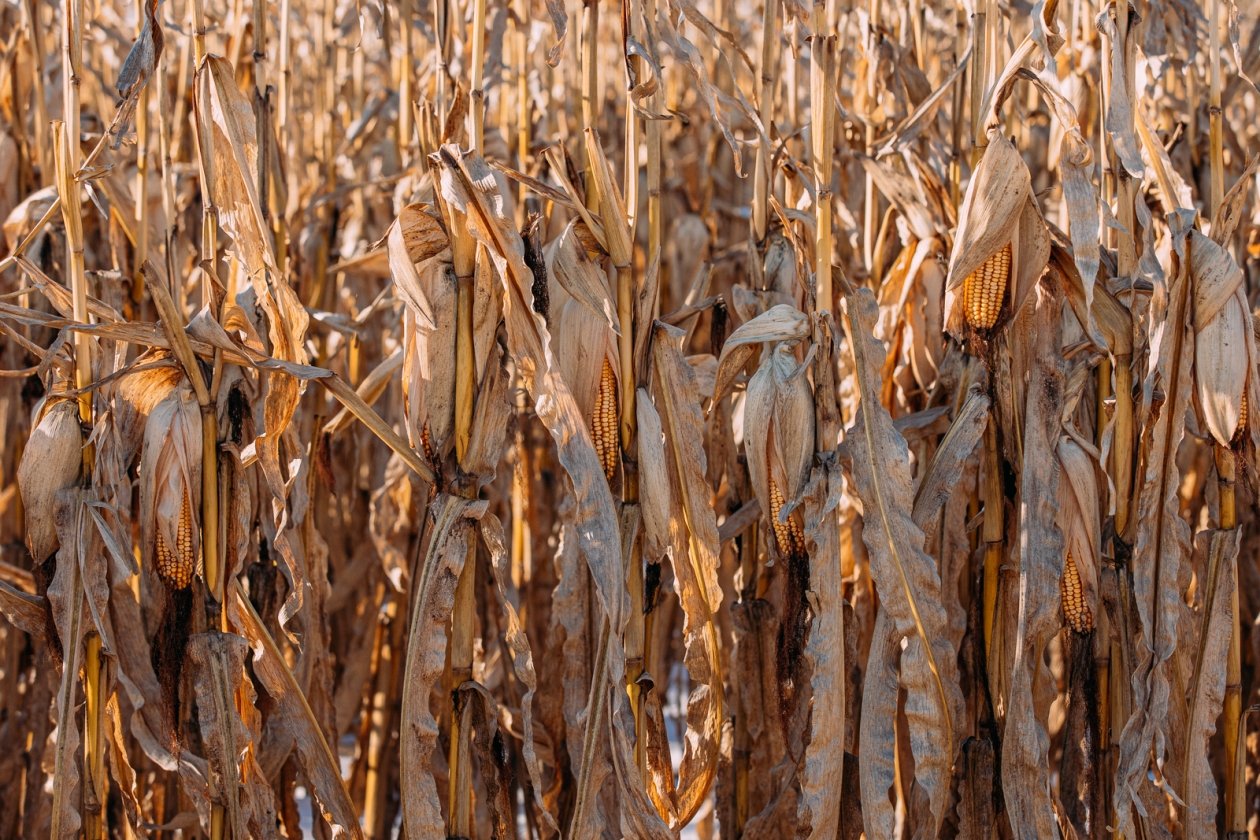 Тематическая фото Мария Смитюк, ИА PrimaMedia.ru