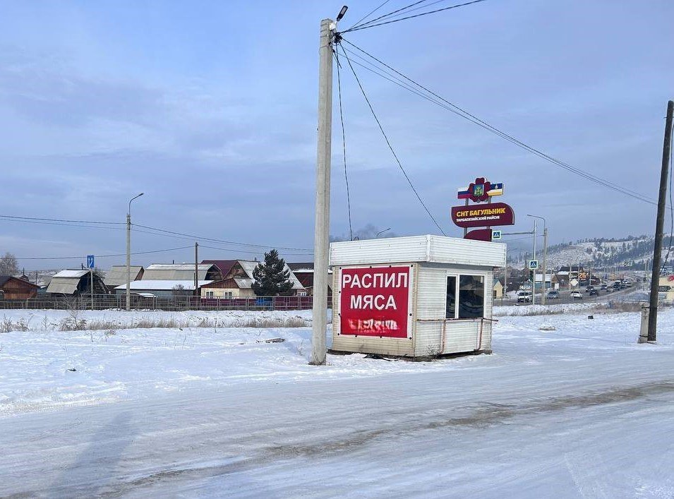 Собаки кормятся остатками мяса у киоска СК по Бурятии