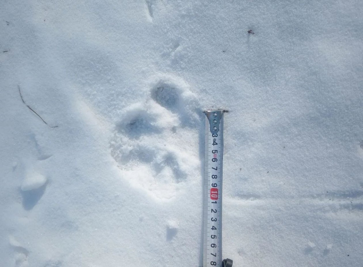 Тематическое фото правительство ЕАО