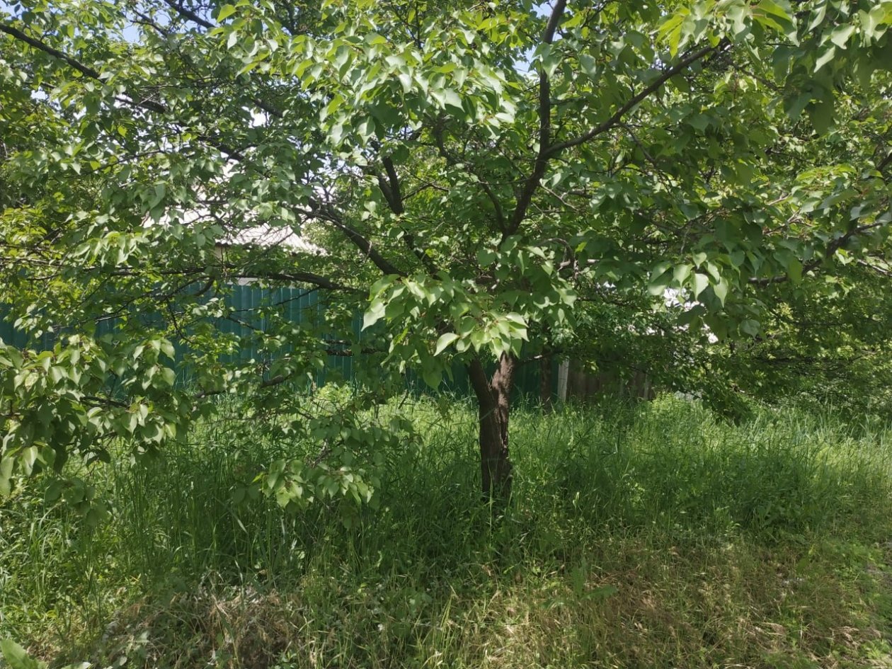 Фото автора автора